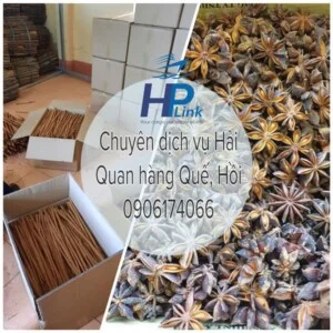 Công Ty TNHH Giao Nhận Quốc Tế HP LINK