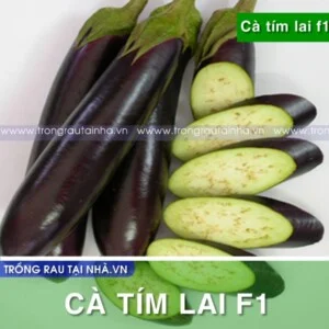 Công Ty TNHH An Nhiên Hà Nội
