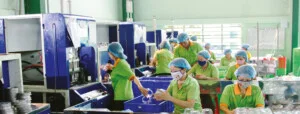 Công Ty TNHH Sản Xuất Thương Mại Nhựa Cẩm Thành Long An