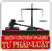 Dịch Thuật AMVN – Công Ty TNHH AMVN