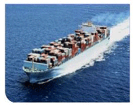 Hải Minh Logistics Co.,Ltd – Công Ty TNHH Tiếp Vận Quốc Tế Hải Minh