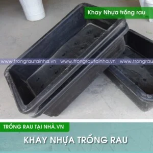 Công Ty TNHH An Nhiên Hà Nội