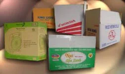 Công Ty TNHH MTV An Phát Nguyên