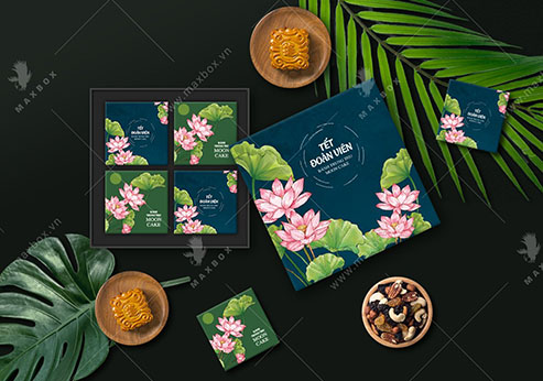 Công Ty TNHH Maxbox