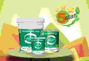 Công Ty Cổ Phần Sản Xuất Và Xuất Nhập Khẩu Quang Dũng