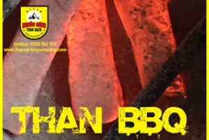 Công Ty TNHH Sản Xuất – Thương Mại – Dịch Vụ Nguồn Sáng