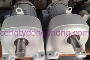 Công Ty TNHH Đầu Tư Thương Mại Dịch Vụ Đông Phong