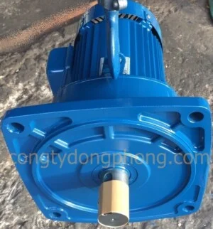 Công Ty TNHH Đầu Tư Thương Mại Dịch Vụ Đông Phong