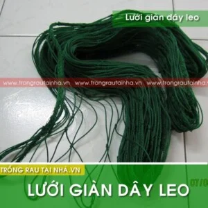 Công Ty TNHH An Nhiên Hà Nội