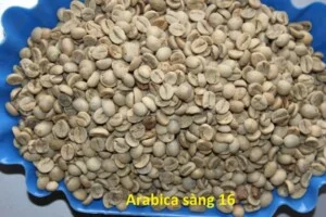 Cà Phê Thủy Ty – Doanh Nghiệp Tư Nhân Cà Phê Thủy Ty