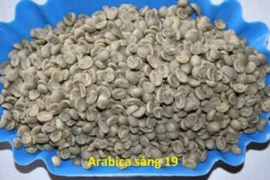 Cà Phê Thủy Ty – Doanh Nghiệp Tư Nhân Cà Phê Thủy Ty