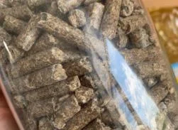 Robert & Partners International Limited