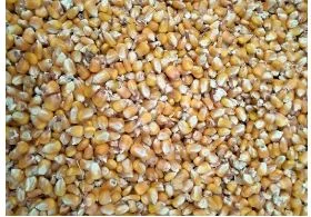 Robert & Partners International Limited