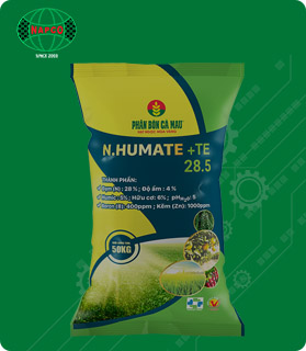 Bao Jumbo NAPCO – Công Ty CP Bao Bì Nghệ An