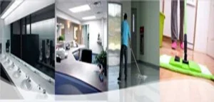 Công Ty TNHH MTV Thương Mại Dịch Vụ Vuông Tròn