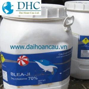 Công Ty TNHH Thương Mại Dịch Vụ Đại Hoàn Cầu