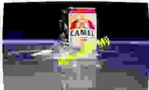 Công Ty TNHH Bia Quốc Tế Camel