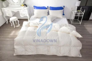 Chăn Ga Gối Đệm Phương Nam – Công Ty TNHH Lông Vũ Phương Nam
