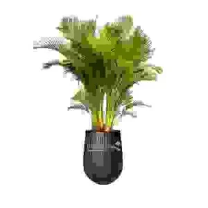 Chậu Composite Bảo Bình – Công Ty Cổ Phần Đầu Tư Thương Mại Bảo Bình