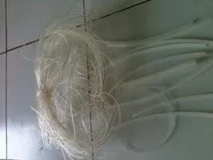Công Ty TNHH Tài Sinh