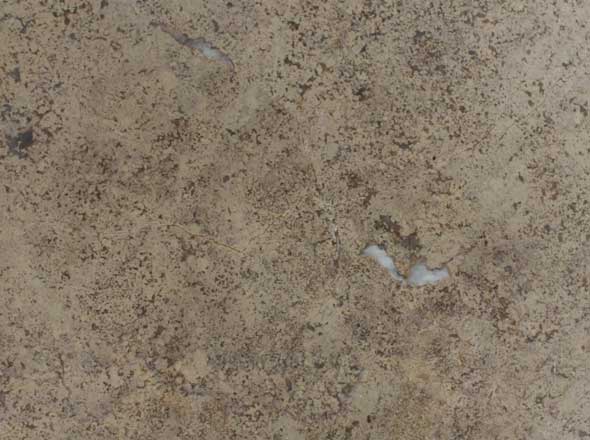 Công Ty Cổ Phần Minh Tân