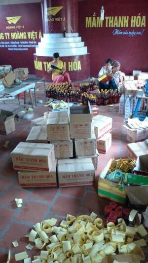 Công Ty Hoàng Việt á
