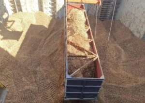 Viên Nén Gỗ Việt Nhật Plastic – Công Ty TNHH Việt Nhật Plastic