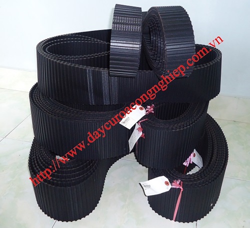 Hoàng Thành Đạt – Công Ty TNHH TM Dịch Vụ XNK Hoàng Thành Đạt