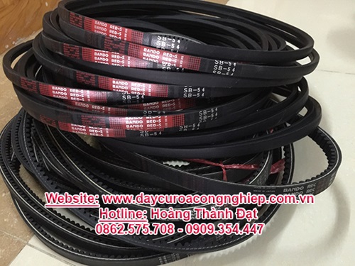 Hoàng Thành Đạt – Công Ty TNHH TM Dịch Vụ XNK Hoàng Thành Đạt