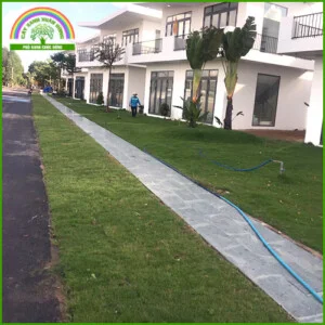 Cây Xanh Xuân Hồng – Công Ty Trách Nhiệm Hữu Hạn Cây Xanh Xuân Hồng