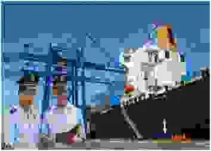 Công Ty TNHH TM DV XNK Lộc Vừng Đỏ