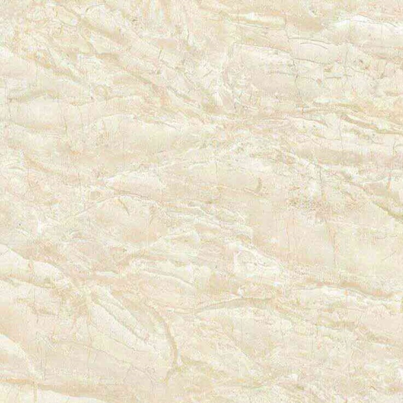 Công Ty TNHH Shijar (Việt Nam)