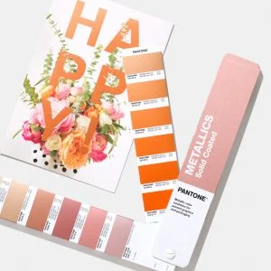 Công Ty TNHH MTV TM XNK Dĩnh Trần