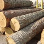 Công Ty Cổ Phần Chế Biến Xuất Nhập Khẩu Gỗ Việt Nam