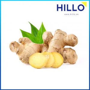 Nông Sản HILLO – Công Ty HILLO Việt Nam