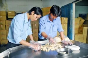 Giám Định á Việt – Công Ty CP Giám Định á Việt