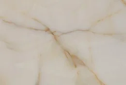 Công Ty TNHH MTV Thịnh Phát Trần