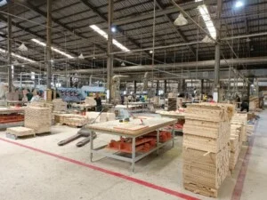 Công Ty TNHH Tiến Triển Việt Nam