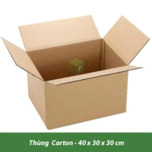 Công Ty TNHH Carton Đình Phong
