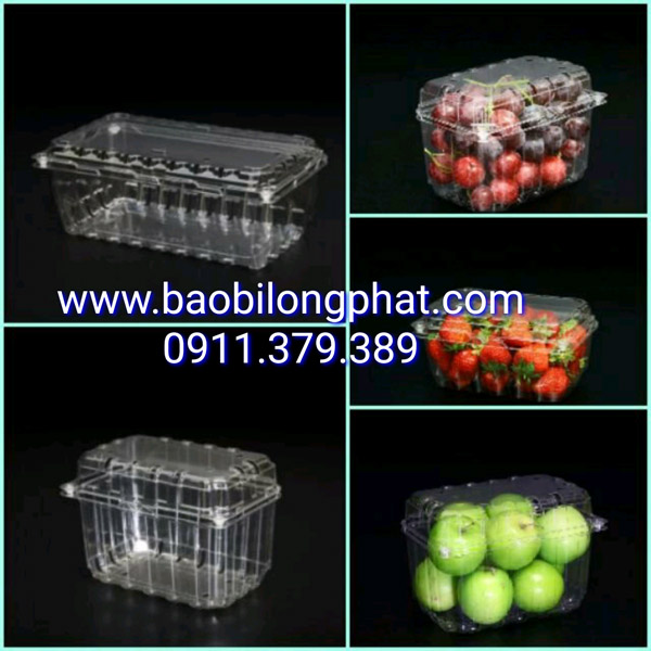 Bao Bì Long Phát – Công Ty TNHH Bao Bì Long Phát