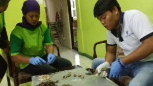 Công Ty TNHH Thương Mại Xuất Nhập Khẩu Việt Nông