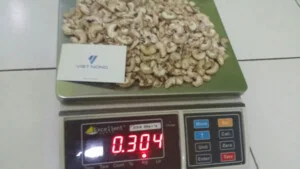 Công Ty TNHH Thương Mại Xuất Nhập Khẩu Việt Nông