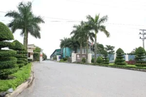 Công Ty TNHH Sản Xuất Và Thương Mại Phan Minh