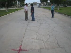 Công Ty TNHH Đỉnh Hinh