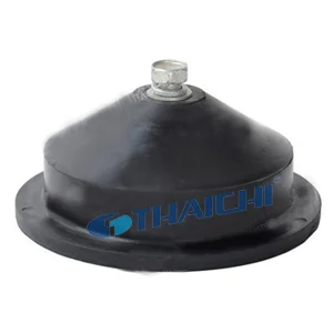 Công Ty Cổ Phần Quốc Tế Thái Chi