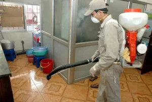 Công Ty Cổ Phần Kiến Trúc Nội Ngoại Thất Và Môi Trường Mr. Xanh