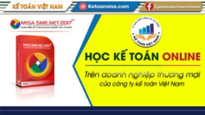 Chi Nhánh – Công Ty TNHH Tư Vấn Giải Pháp Kế Toán Việt Nam