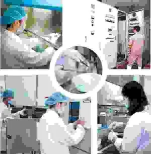 Công Ty TNHH Tiêu Chuẩn Chất Lượng Việt Nam