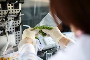Công Ty TNHH Tiêu Chuẩn Chất Lượng Việt Nam