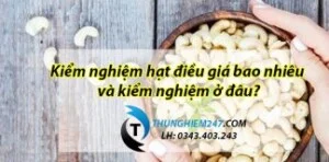 Dịch Vụ Thử Nghiệm Sản Phẩm Nhanh